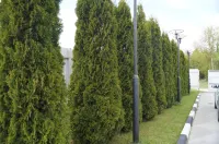 97 km Hotel Hotel a Tula