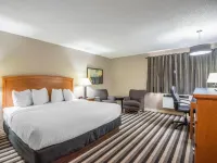 Quality Inn West Edmonton Hotels near The Brick