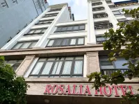 Cat BA Rosalia Hotel - マウンテンビュー