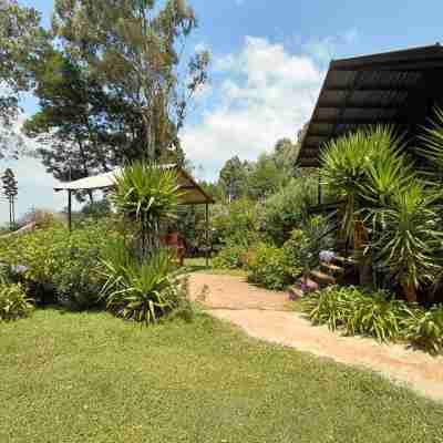 Woodland Gardens Self Catering Pet Friendly Lodge Hotel Exterior