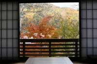 Shirokotsu Onsen Korinoyu-Sasaya - Bjergudsigt
