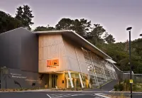 InterContinental Wellington Hotels in 