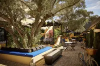 Bespoke Inn Scottsdale - Мини-отели