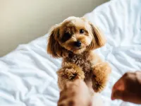 Riverside Tabi-NE - Pet-friendly