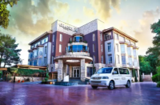 Grand M Hotel Hotels in 