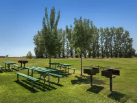 Travelodge by Wyndham Lemoore Near Naval Air Station Hotels in Lemoore