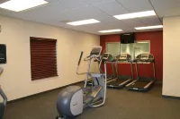 Hampton Inn & Suites by Hilton Lethbridge - Phòng tập thể hình