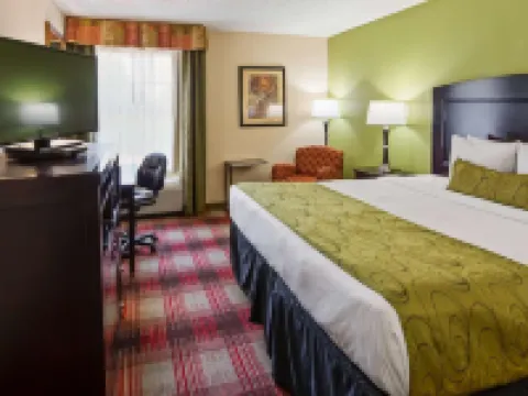 地標酒店達拉斯 - 艾迪生 艾迪生酒店