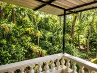 Hotel Candolim Aloft - 2-Star