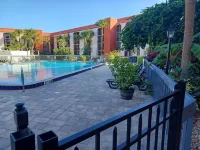 Grand Hotel Orlando at Universal Blvd - Shuttle to Theme Parks - piscine