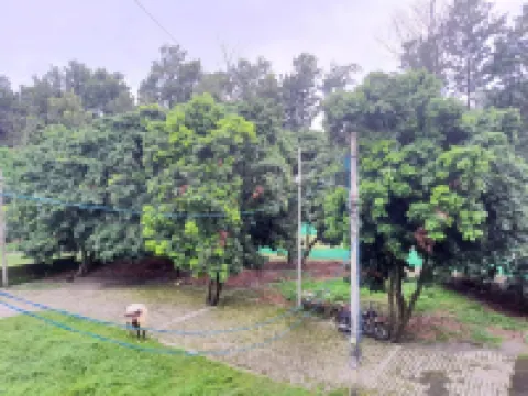 Nature View Homestay