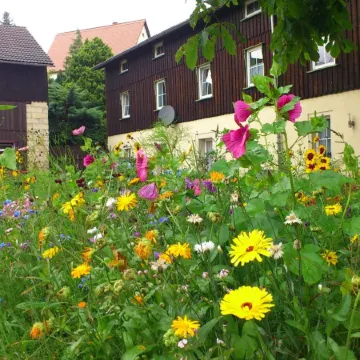 Ferienwohnung, Struppen