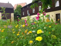 Ferienwohnung, Struppen Hotels near Camping-Stellplatz Struppen