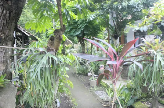 Umah de Arlika Ubud Außen Photos