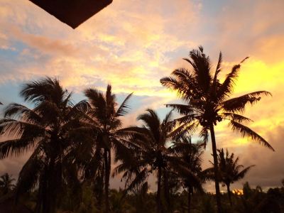 ホテル周辺 アラズ グリーン ラグーン ホテルズの写真