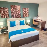 Fynn Boutique Hotel - Airport Shuttle
