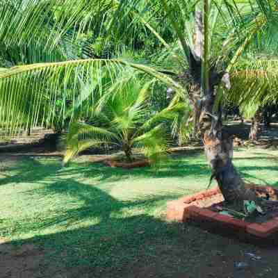 Jaye Eco Lodge Hotel Exterior