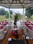 Home in the Jungle Pench - breakfast