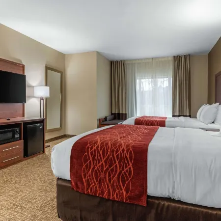 Comfort Inn & Suites Montgomery East Carmichael Rd