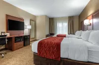 Comfort Inn & Suites Montgomery East Carmichael Rd - parking
