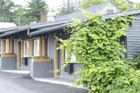 The Vine on Main - 2-Star