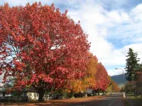 Tongariro River Motel - Parkering