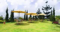 Gumilang Regency Hotel - Wi-Fi