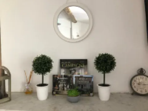 Hotel le Flore Hotels in Frejus