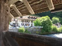 Historic Hotel Steinbock - Mountain view