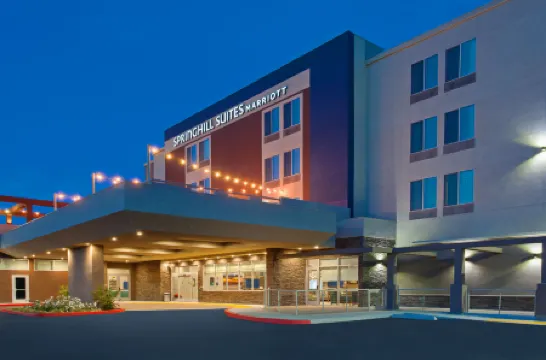 奧蘭治縣亨廷頓海灘SpringHill Suites飯店