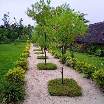 Alofa Beach Bungalows