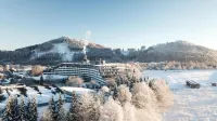 Sauerland Stern Hotel Hotels in Willingen