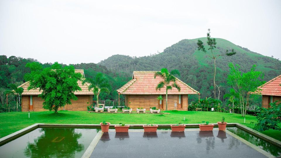Wild Planet Jungle Resort