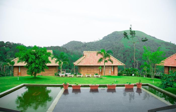 Wild Planet Jungle Resort