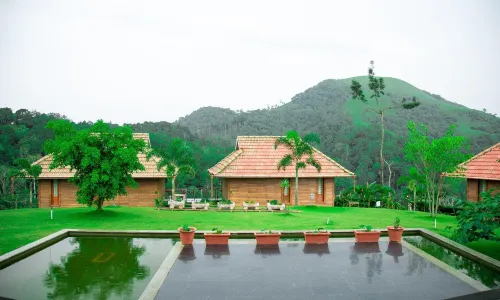 Wild Planet Jungle Resort