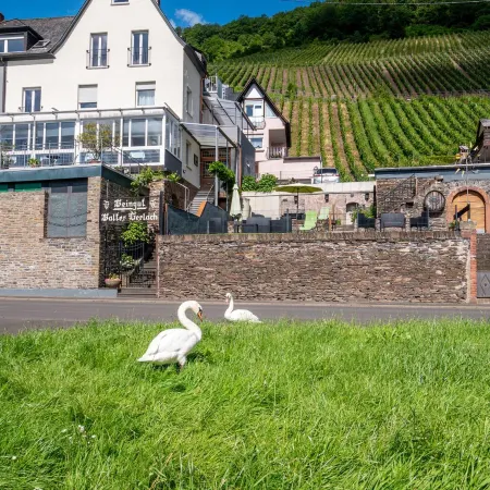 Hotel Gerlach