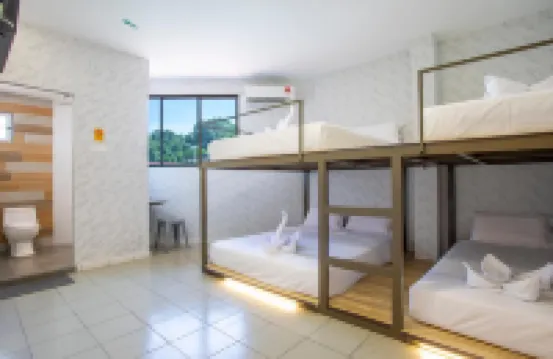 Lazy Cat Home at Gaya Street