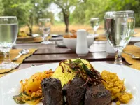 Big Game - Wilpattu by Eco Team Hotels in Saliyawewa