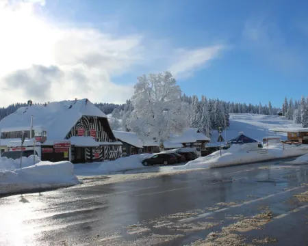 Boutique Hotel Kokoschinski Hotels in Feldberg