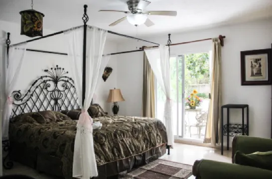 康託宮 鄰近Parque de la Candelaria的酒店