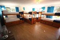 Saltycrax Backpackers Hotels in Bloubergstrand
