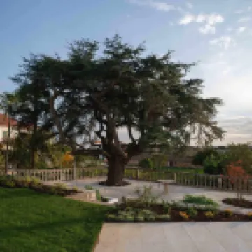 雪松之家 住宿飯店