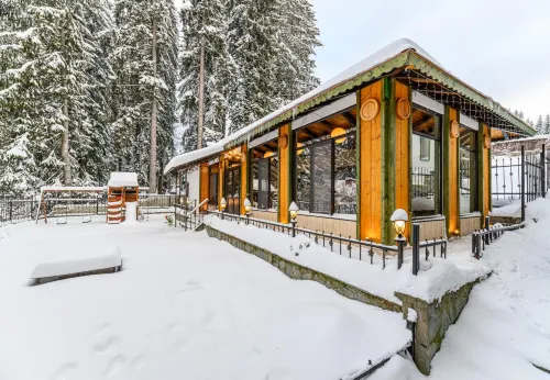 Pensiunea Hilltop - Homestay