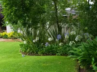 De Witt'e Guest House Hotels in Bloemfontein