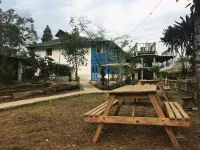 Temi Kothi Homestay - Homestays
