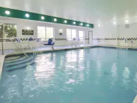 Homewood Suites by Hilton Rochester - Henrietta - Swimmingpools