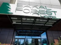 Baikal Forest Hotel Hotels near Shopping Mall Modny Kvartal