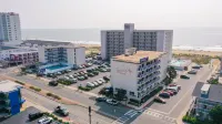 Flamingo Motel - Motels