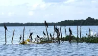 Wetland Resort - 3-Star