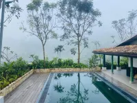 Rain Drops Wellness Villa Deniyaya, Sinharaja - สระว่ายน้ำส่วนตัว